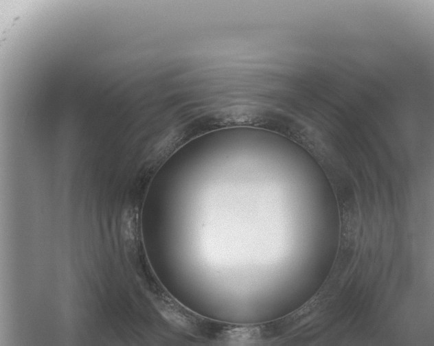 X0000054400126200508051724