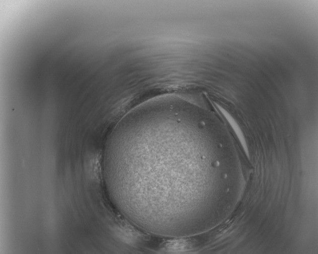 X0000054400127200508051724