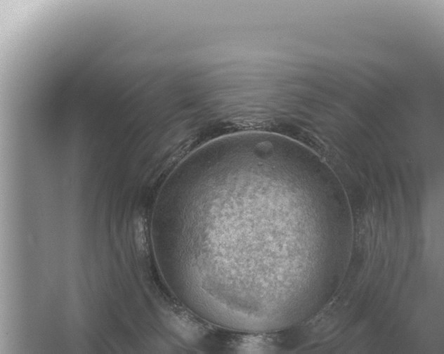 X0000054400130200508051723