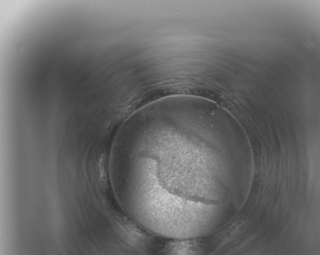 X0000054400131200508051723