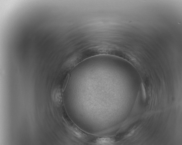 X0000054400137200508051723