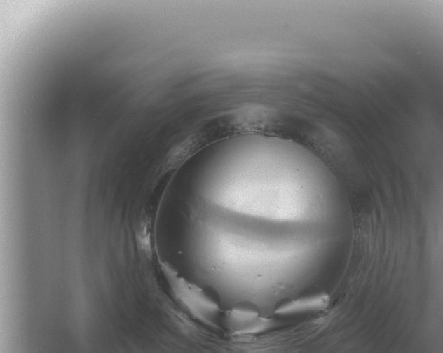 X0000054400139200508051723