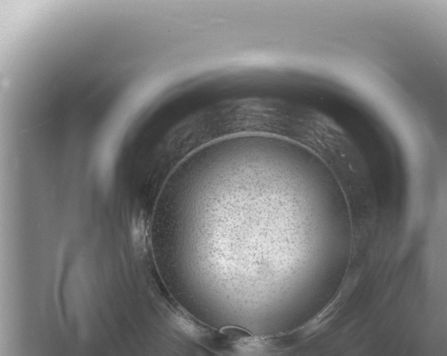 X0000054400142200508051723