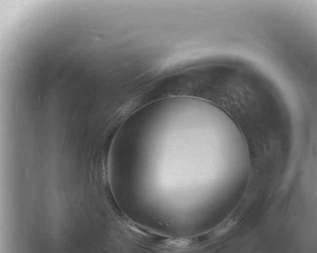 X0000054400143200508051723