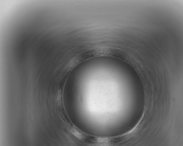 X0000054400144200508051723