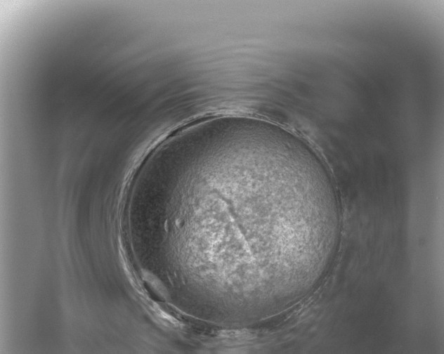 X0000054400145200508051722