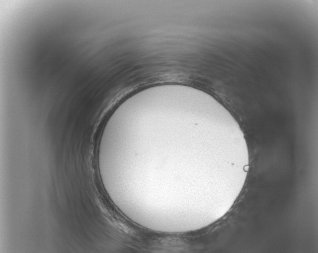 X0000054400146200508051722