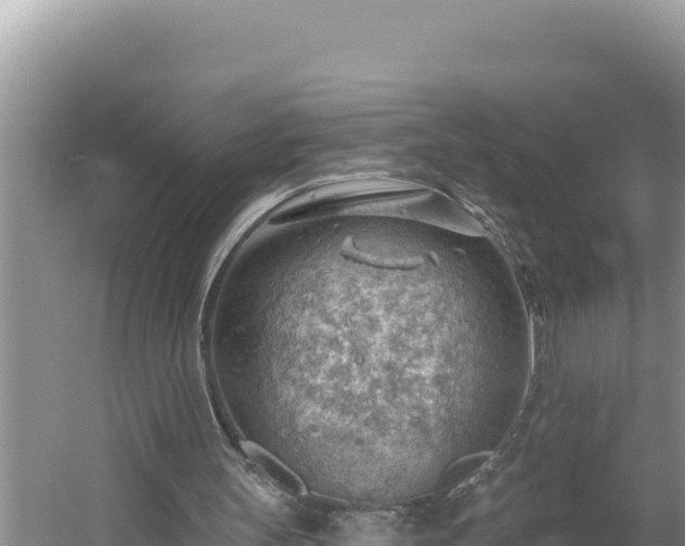 X0000054400147200508051722