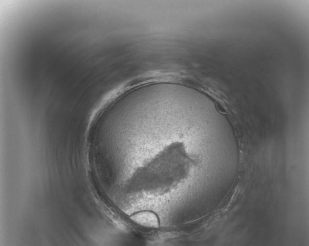 X0000054400149200508051722