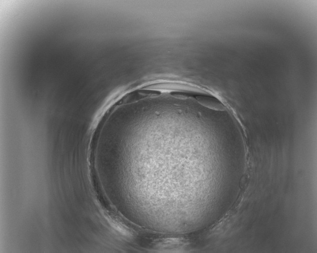 X0000054400151200508051722