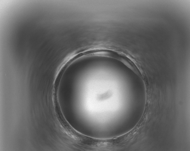 X0000054400152200508051723