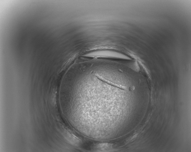 X0000054400153200508051723