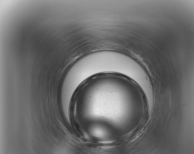 X0000054400154200508051723