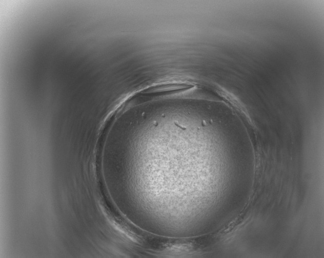 X0000054400155200508051723