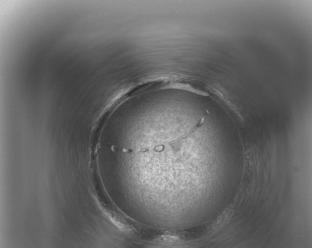 X0000054400159200508051723