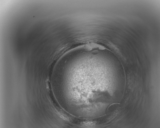 X0000054400161200508051723