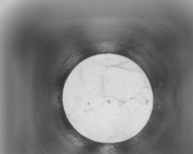 X0000054400162200508051723