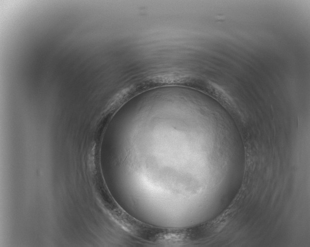 X0000054400163200508051723