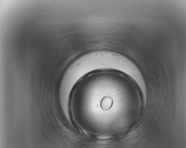 X0000054400164200508051723