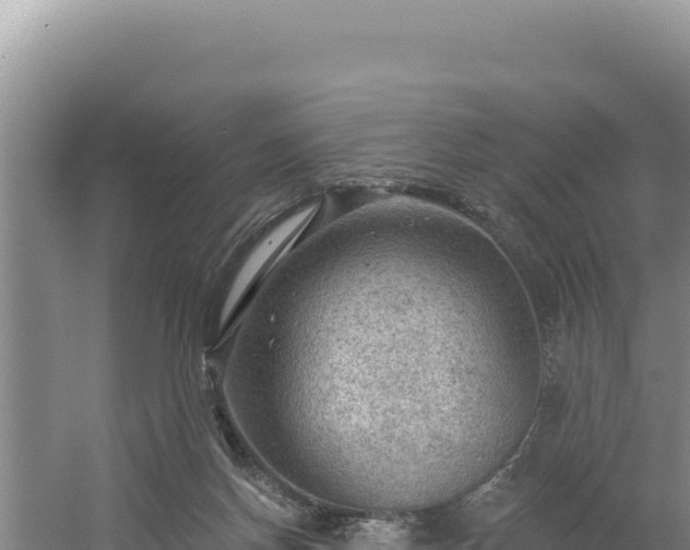 X0000054400166200508051723