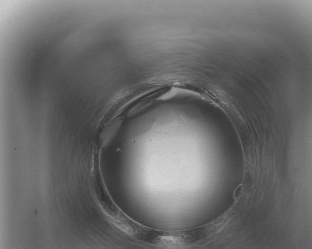 X0000054400167200508051723