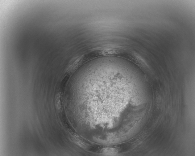 X0000054400169200508051723