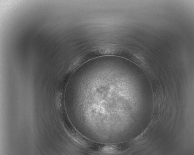 X0000054400171200508051723