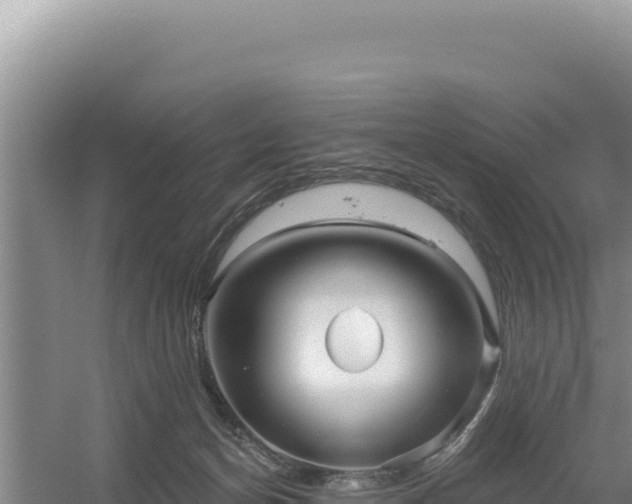 X0000054400174200508051723