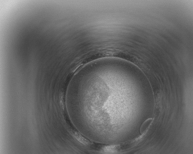 X0000054400178200508051723