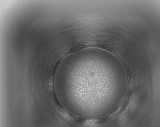 X0000054400179200508051723