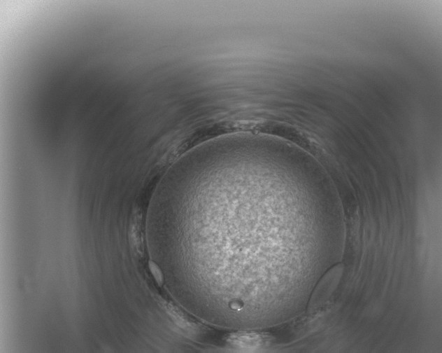 X0000054400181200508051723