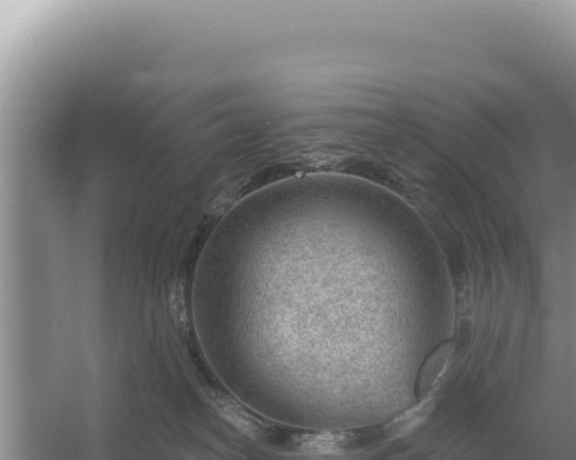 X0000054400182200508051723