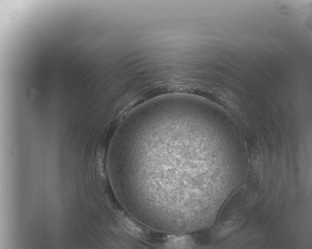 X0000054400185200508051723