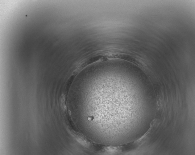 X0000054400187200508051723