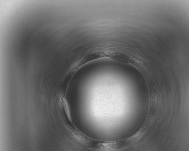 X0000054400188200508051723