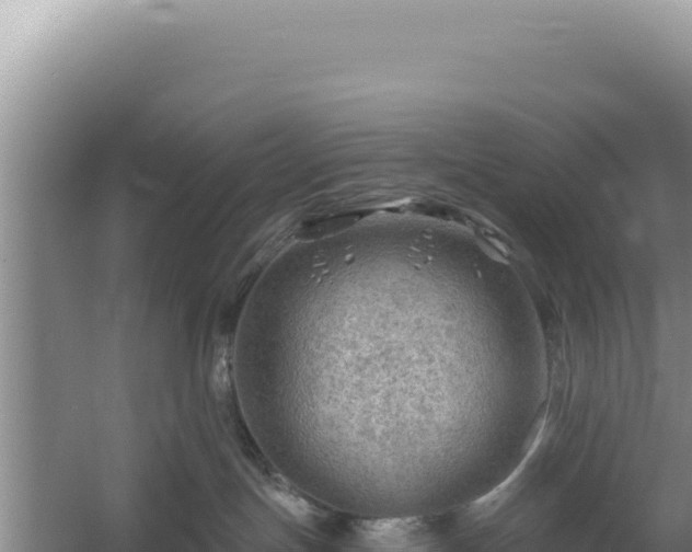 X0000054400191200508051723