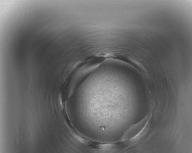 X0000054400192200508051723