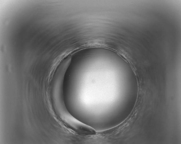 X0000054400193200508051722