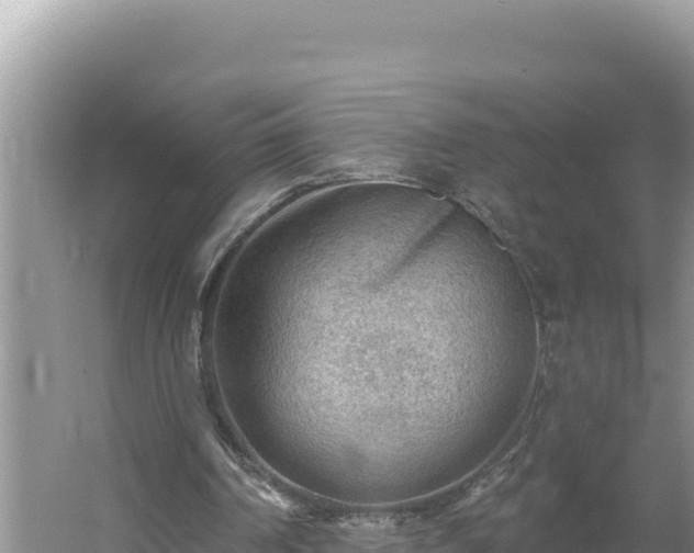 X0000054400194200508051722