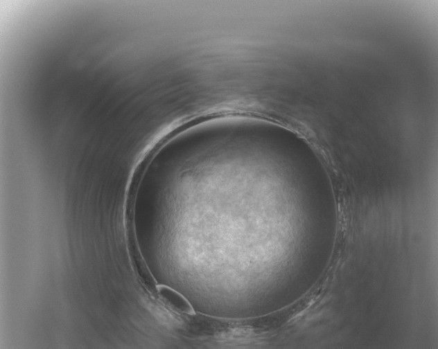 X0000054400196200508051722