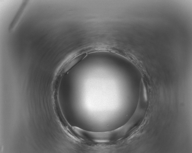 X0000054400197200508051722