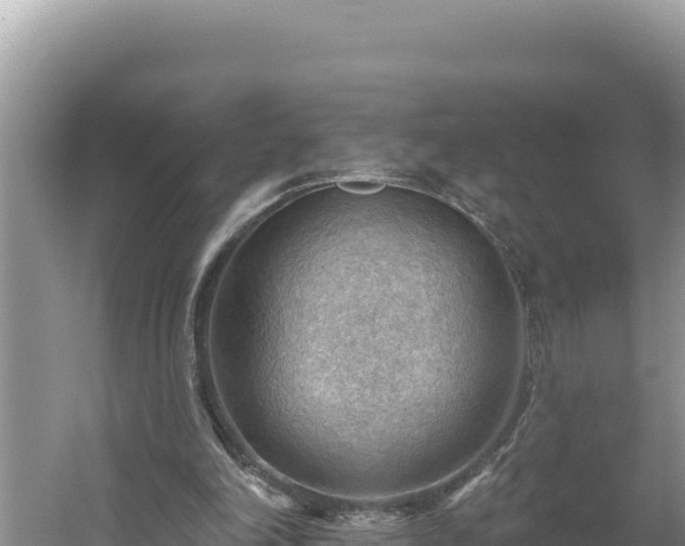 X0000054400198200508051722