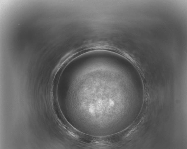 X0000054400199200508051722