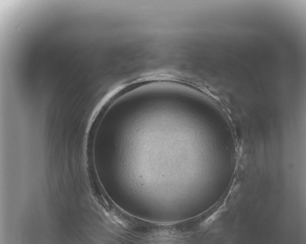 X0000054400200200508051722