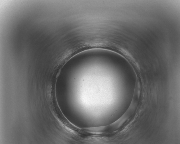 X0000054400201200508051722