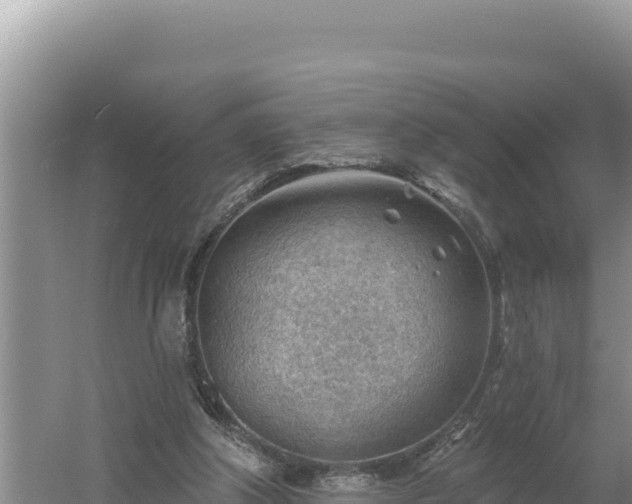 X0000054400202200508051722