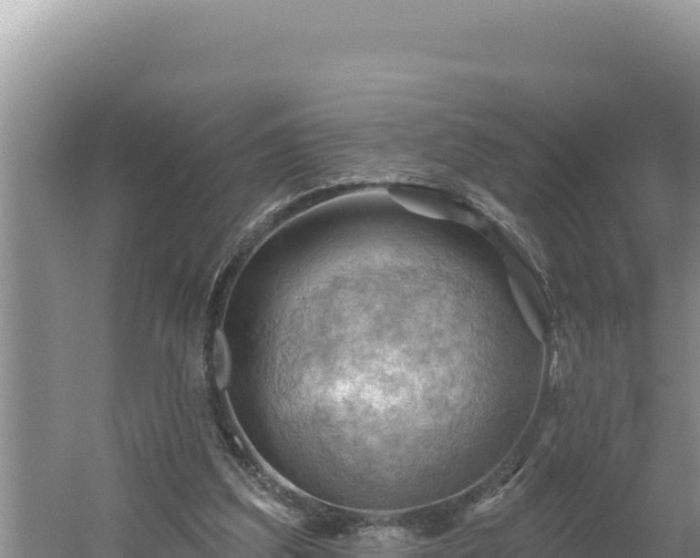 X0000054400203200508051722