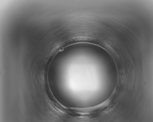 X0000054400207200508051722