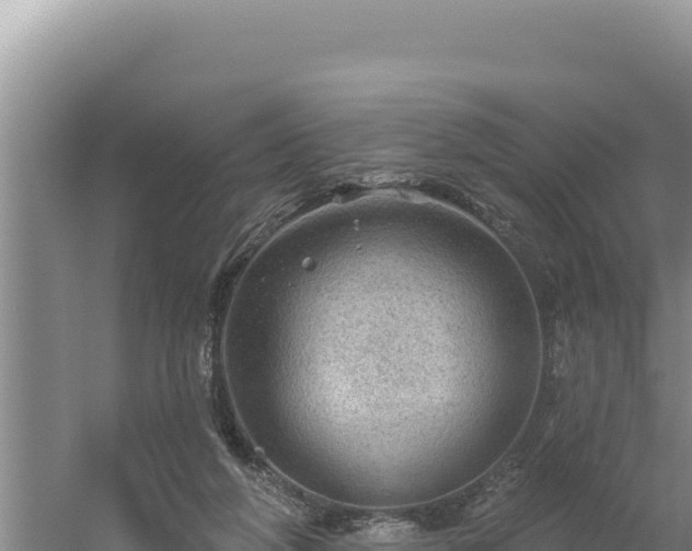 X0000054400210200508051722