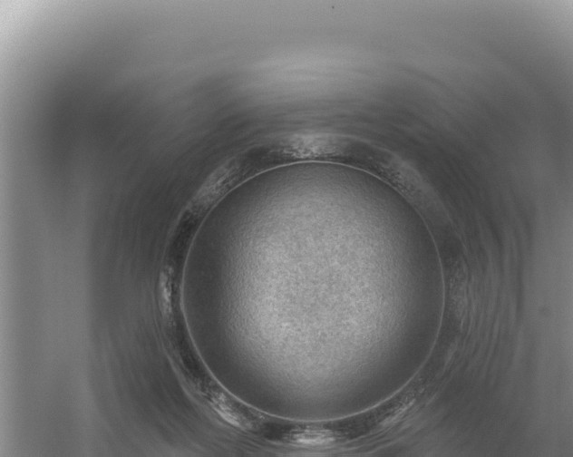 X0000054400214200508051722